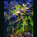 아쿠아데이 이미지