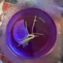 달콤하다 | [서울 오목교역 카페] 히피스케빈, 힙하다 아늑하다 달콤하다: 바나나푸딩을 드십시오🍌🌿⛺