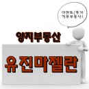 고척마젤란아파트 이미지