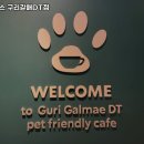 1펫 | 스타벅스 구리갈매DT점 추천 구리 카페 맛집 휴무일 주차 리뷰 안내