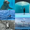 용문산관광지(야외공연장 입구) | 일본🇯🇵 다카마쓰 근교 우타즈 시코쿠 수족관 가는 법 방문 후기 및 꿀팁