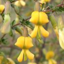 수덕사근역성보관 이미지