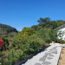 힐링부동산 공인중개사사무소 이미지