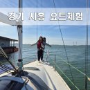 시흥 가볼만한 곳 요트체험 추천 한국수상레저안전협회 경기시흥지부