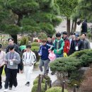 강남구 강남-150 서울신문