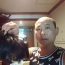 시스템엘르