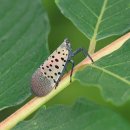 김포농협영농자재 이미지