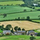 내리농장 이미지