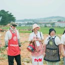 개언니네 이미지