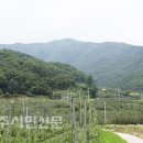 왕산4리 티스토리