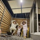 117 | 화성 리프레시 글램핑 &amp; 카라반 117동 글램핑 후기