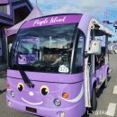 퍼플여행 | 꿈결 같은 보랏빛 향연, 신안 퍼플섬 (반월도 &amp; 박지도) 여행 후기