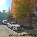 칠보할인마트