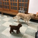 나무향기펜션 이미지