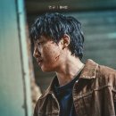 화란 - 217201 | 화란