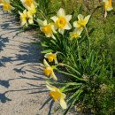 용봉초등학교앞 이미지