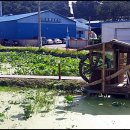 선인3리 이미지