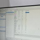 한국고양이혈액센터 이미지