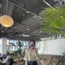 SPING | 타낫 24 sping / Open collar button cardigan 후기