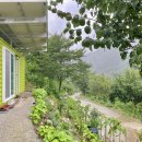 연두민박 이미지