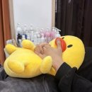 외동 | 김해 외동 남자 눈썹 정리 잘하는 곳 데일리뷰티 &amp; 왁싱 김해외동점 후기