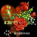 사이꼬 - 고양시 덕양구 | 사이꼬