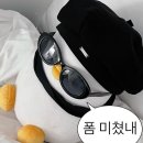 9월 넷째 주 단비의 일상