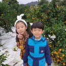 삼주농장 이미지