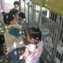 아인농장 이미지