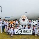 용인대 성민 태권도 이미지