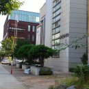 배기공원 이미지