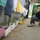 봉희농장 이미지