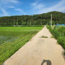 모서리공인중개사사무소 이미지