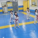 엘림 태권도 이미지