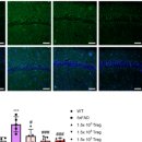 (주)브이티바이오 이미지