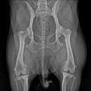 엑슬루 동물병원 이미지