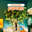 감귤박물관 위 | 서귀포 감귤박물관 : 볼거리 즐길거리가 가득한 제주 실내 관광지