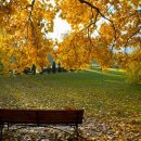 경북1급종합정비 이미지