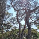 소양강로 이미지