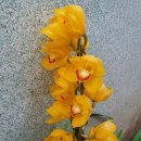 안제의원 이미지