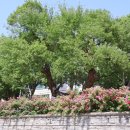 동화천자전거길 이미지