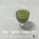 일신농약할인마트 | 직장인 아침 대용, 3달 직접 마셔본 케일 샐러리 주스 디톡스 찐후기(feat. 임라라 주스)