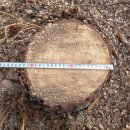 은평-041 이미지