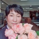 효연상조 이미지
