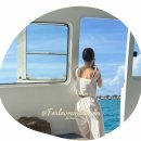 돌고래PC | 액티비티]몰디브 가성비 리조트, 칸디마 몰디브 액티비티 돌고래 투어 솔직 후기 &lt;2편&gt; (feat.AquaHolics)