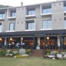 소나무향기 이미지