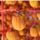 고당축산 이미지