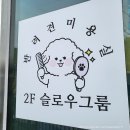slow groom 네이버블로그