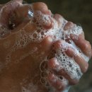 서귀포 홍리 실내수영장 이미지