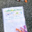 (6월17일~19일)홍천강이 흐르는 홍천 캠프하다캠핑장 다둥이가족도 한번 물놀이하러 떠나볼까
